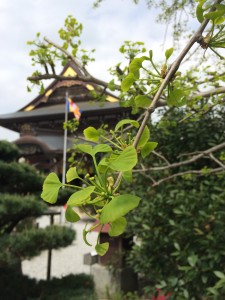 20150422_010555420_iOS