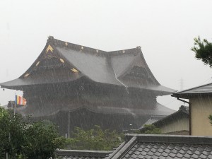 IMG_6710